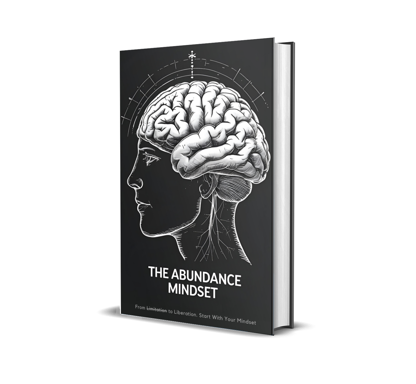 eBook titled 'The Abundance Mindset' with a brain illustration on a black background.