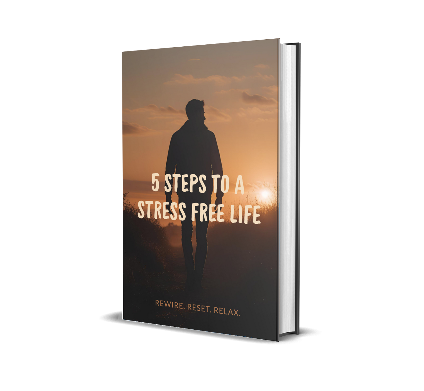 eBook titled '5 Steps to a Stress Free Life' with a silhouette of a person against a sunset background.