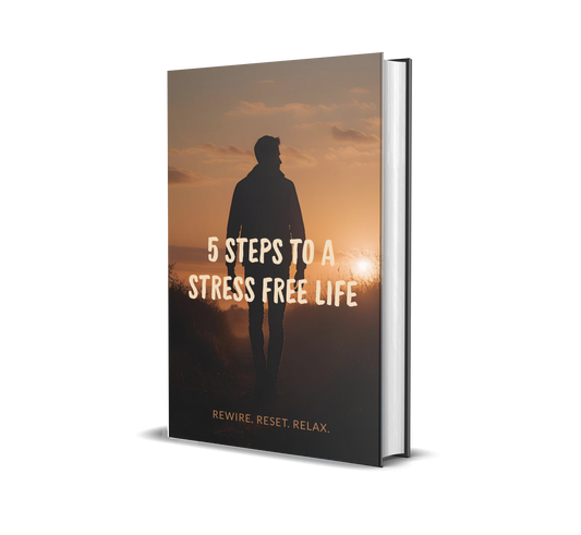 eBook titled '5 Steps to a Stress Free Life' with a silhouette of a person against a sunset background.