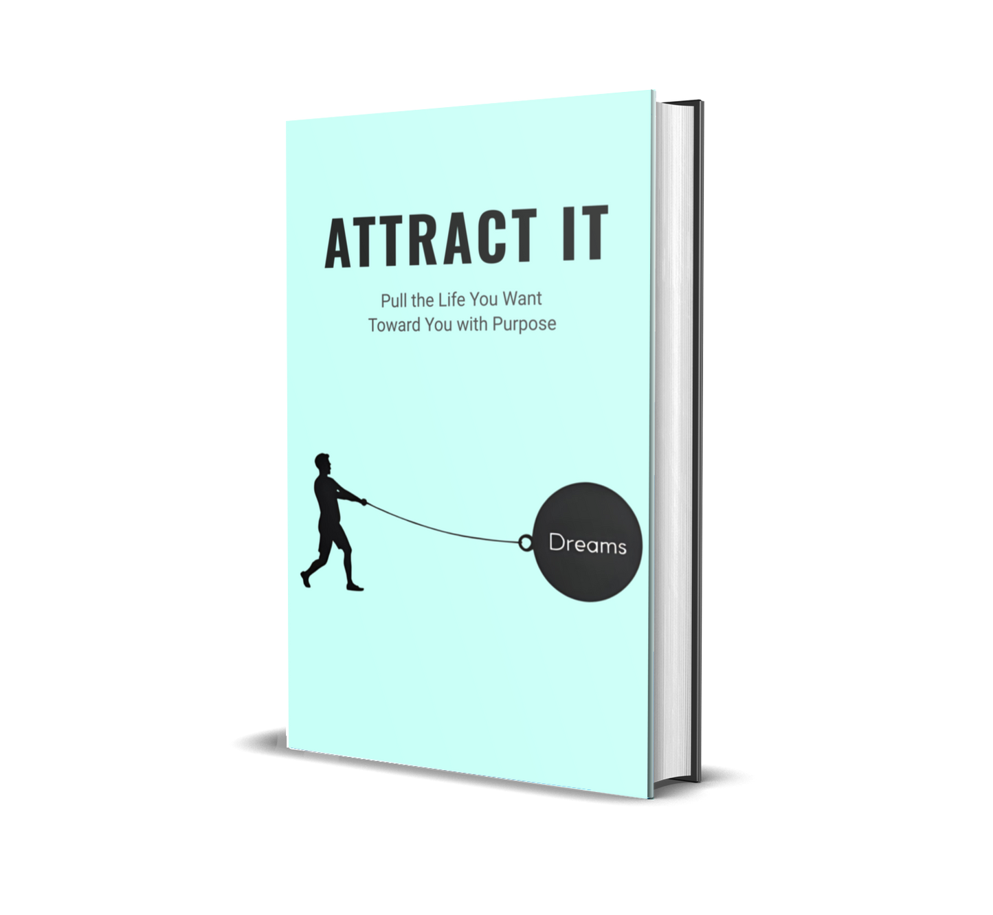 eBook titled 'Attract It' with a light blue background and a silhouette of a person pulling in his dreams.
