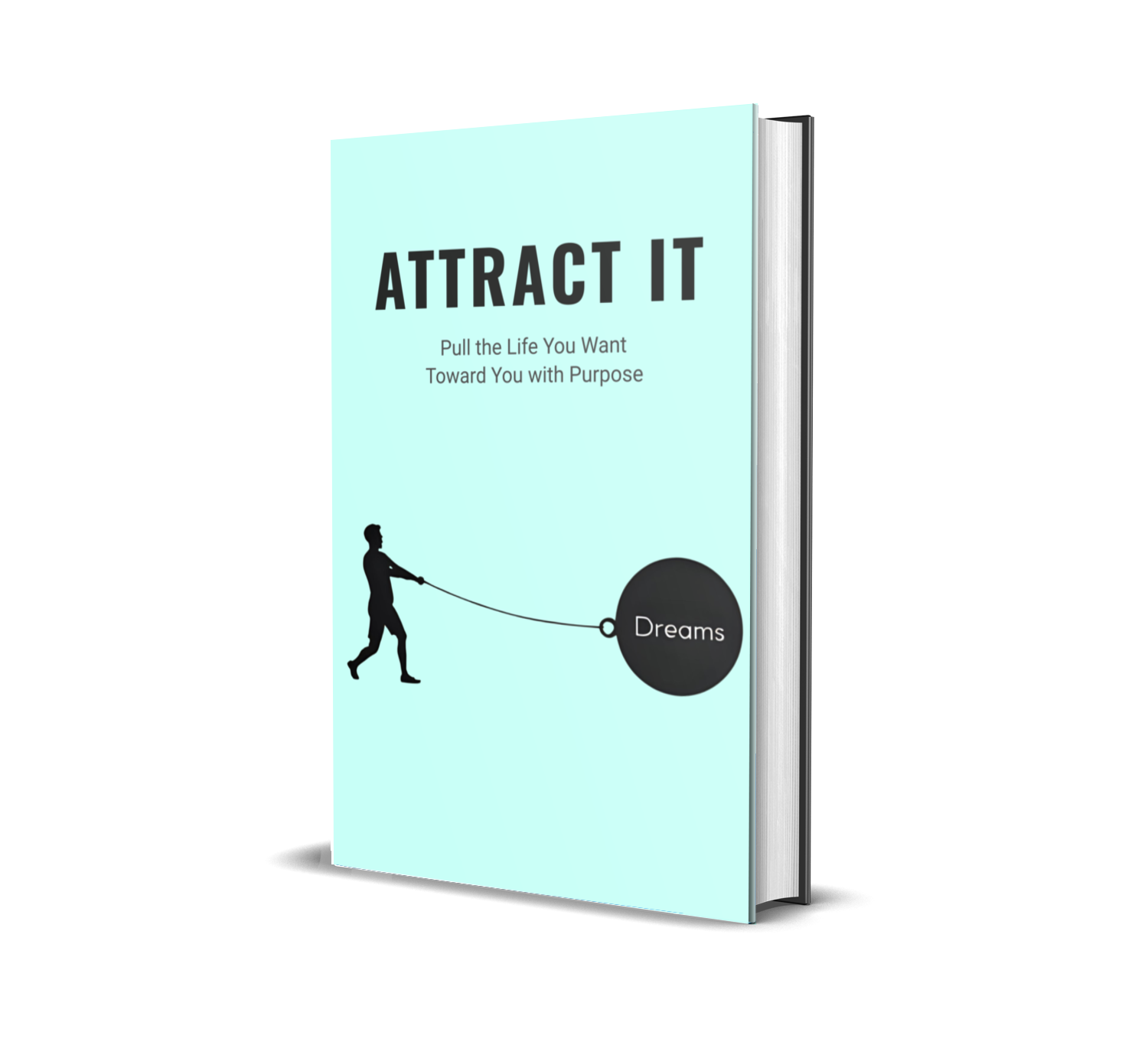 eBook titled 'Attract It' with a light blue background and a silhouette of a person pulling in his dreams.