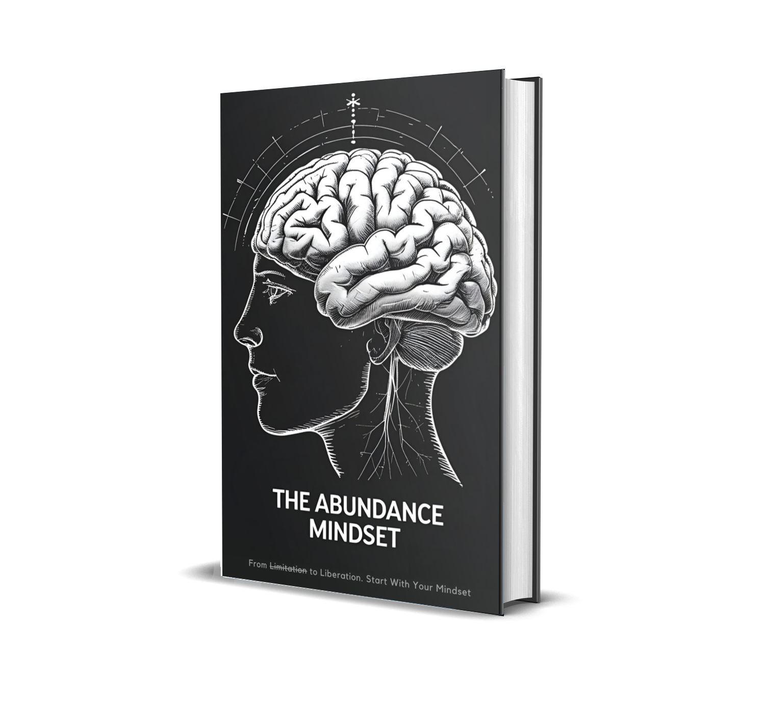 eBook titled 'The Abundance Mindset' with a brain illustration on a black background.